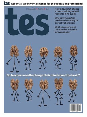 cover image of Tes